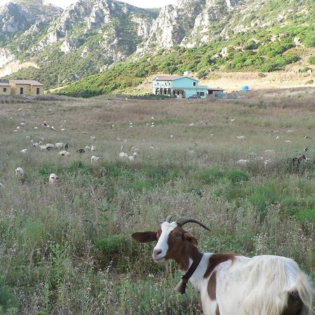 Agriturismo Sa Rocca إيغليزياس المظهر الخارجي الصورة