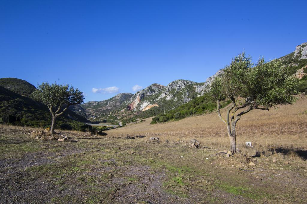 Agriturismo Sa Rocca إيغليزياس المظهر الخارجي الصورة