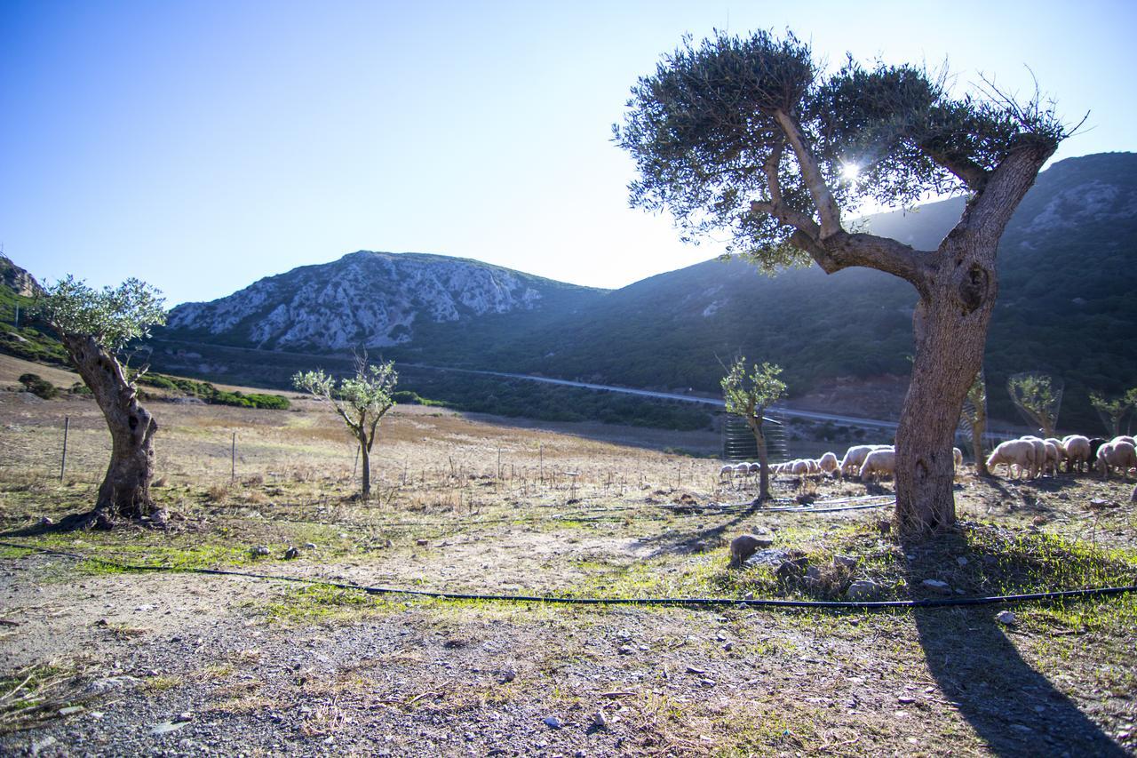 Agriturismo Sa Rocca إيغليزياس المظهر الخارجي الصورة